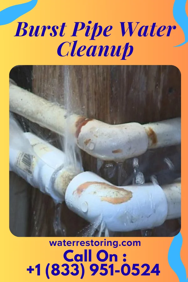Burst Pipe Water Cleanup in Betterton, MD
