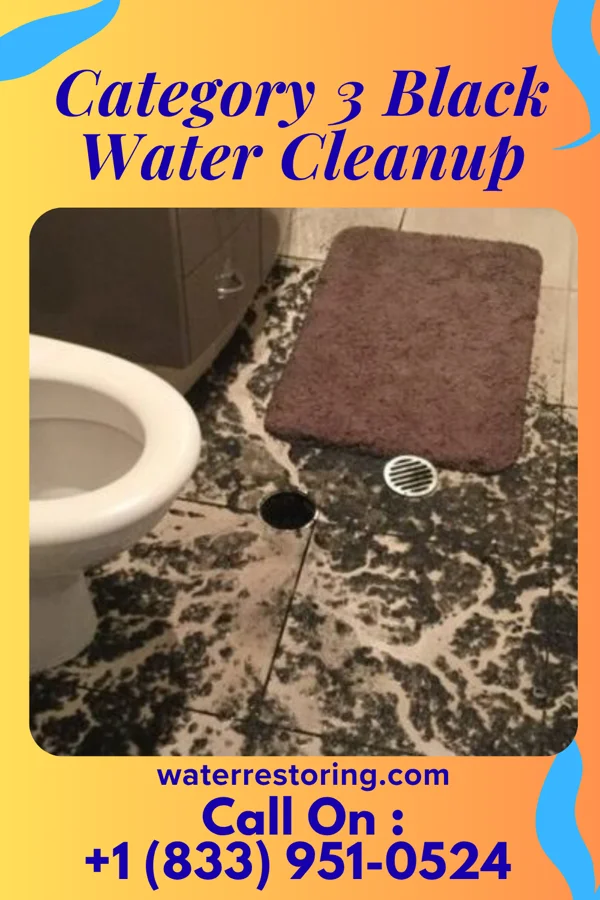 Category 3 Black Water Cleanup in Betterton, MD