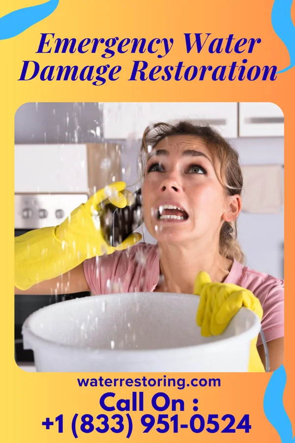 Emergency Water Damage Restoration in Betterton, MD