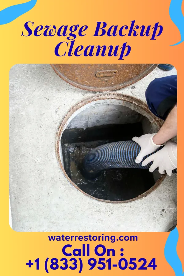 Sewage Backup Cleanup in Betterton, MD
